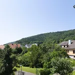 Pinot Gris - Au Coeur Du Vignoble - Parking Gratuit * Riquewihr