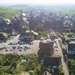 Pinot Gris - Au Coeur Du Vignoble - Parking Gratuit Daire *