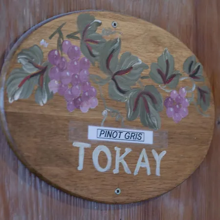 Pinot Gris - Au Coeur Du Vignoble - Parking Gratuit *