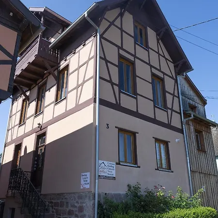 Pinot Gris - Au Coeur Du Vignoble - Parking Gratuit * Riquewihr