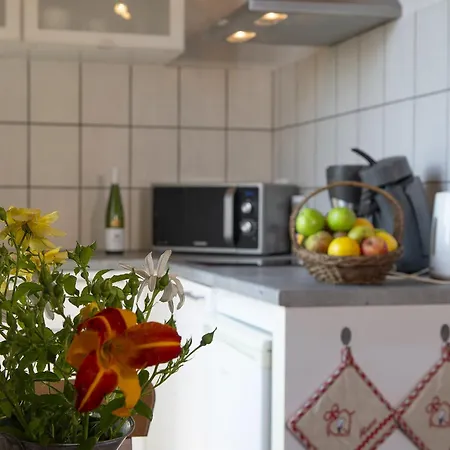 Pinot Gris - Au Coeur Du Vignoble - Parking Gratuit Apartamento Riquewihr