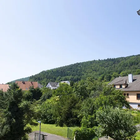 Pinot Gris - Au Coeur Du Vignoble - Parking Gratuit * Riquewihr