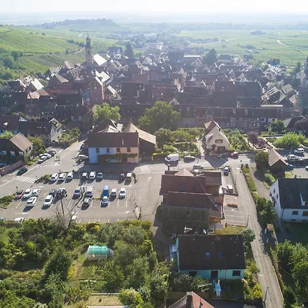 Pinot Gris - Au Coeur Du Vignoble - Parking Gratuit Apartmán *