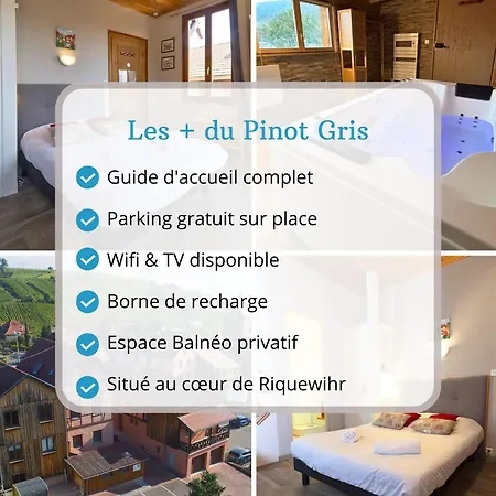 Pinot Gris - Au Coeur Du Vignoble - Parking Gratuit * Riquewihr