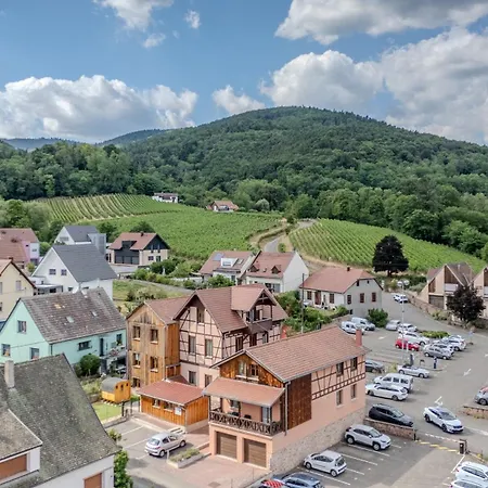 Pinot Gris - Au Coeur Du Vignoble - Parking Gratuit Riquewihr