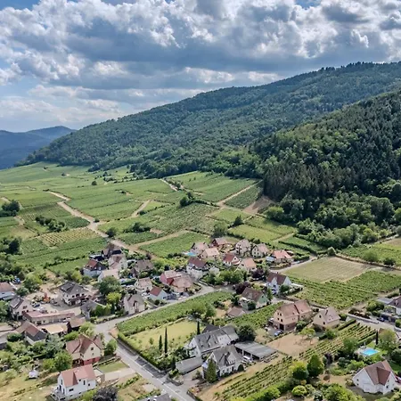 Pinot Gris - Au Coeur Du Vignoble - Parking Gratuit Apartmán Riquewihr